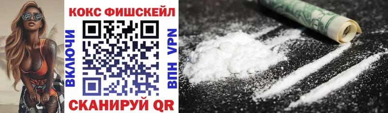 купить наркоту  Гремячинск  Cocaine Fish Scale 