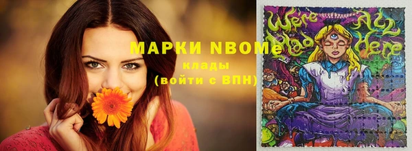 ПСИЛОЦИБИНОВЫЕ ГРИБЫ Строитель