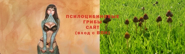 спайс Балабаново