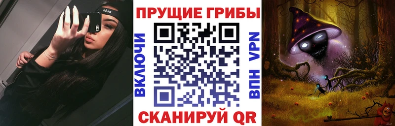 Псилоцибиновые грибы Psilocybine cubensis  Гремячинск 